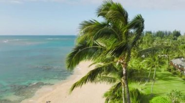 Aerial footage of lavish palm trees, bungalows and sandy shoreline below sunrise sky. Tropical offshore nature with crystal clear Pacific Ocean, washing the coastline. High quality 4k footage