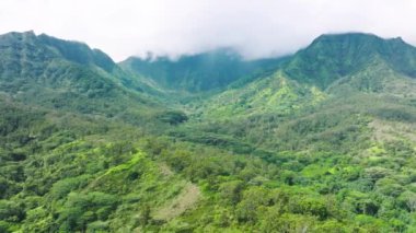 Inspiring aerial view of Kauais lush valley revealing dramatic, unspoiled beauty. Pristine nature with tropical rainforests with misty clouds over. High quality 4k footage