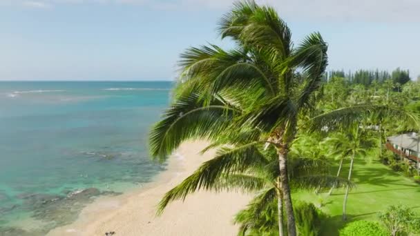 Aerial Footage Lavish Palm Trees Bungalows Sandy Shoreline Sunrise Sky — 图库视频影像