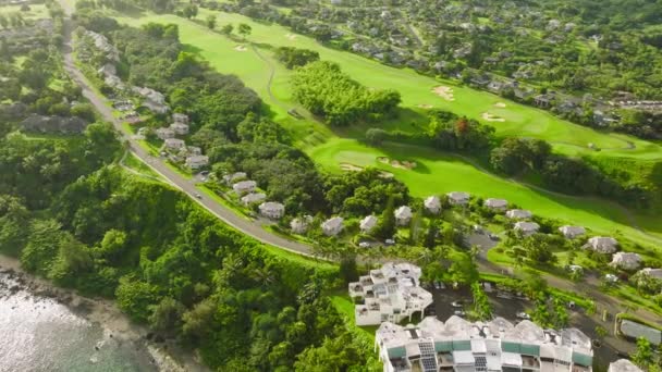 Emerald Quilt Land Surrounded Misty Green Mountains Hanalei Valley Aerial — 图库视频影像