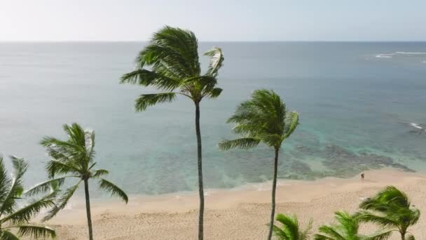 Drone Shot Magnificent Sandy Beach Steps Residential Neighborhood Unforgettable Setting — 图库视频影像