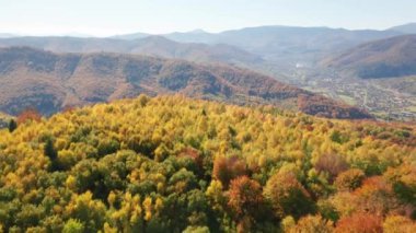 Gorgeous colors of the trails across the picturesque forest. Aerial view of breathtaking, lush vegetation covering steep hills with the morning fog in the background. High quality 4k footage