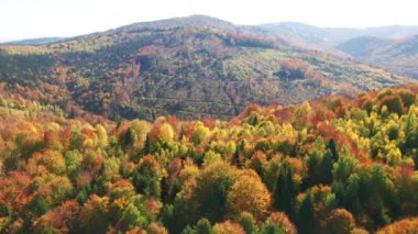 Drone footage of glorious, mountainous landscape with mixture of greens, yellows, and reds. Gorgeous colors of the trails across the picturesque forest. High quality 4k footage