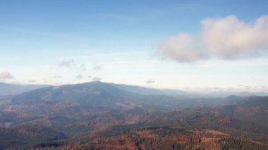 Thick morning clouds flowing over the charming alpine village. Aerial footage of fall foliage of tree tops covering the mountain slopes. High quality 4k footage