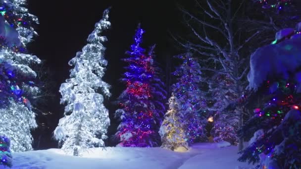 Slow Motion Copy Space Christmas Background Cinematic Panorama Magical Winter — Video
