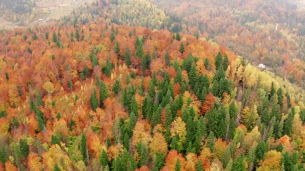 Adventurous Park Wild Tourist Trails Seen Aerial Footage Picturesque Mountain — 비디오