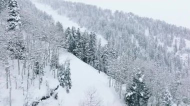 Drone flying above chair lift with skiers riding up mountain on cold white winter day in cinematic mountain forest. People having fun at winter sport activity, snowy mountain in winter spruce forest