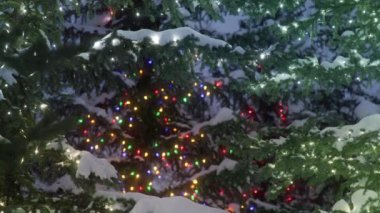 Decoration at Merry Christmas holiday. Glitter blue, red, orange soft-focus lights garlands glowing on Christmas tree. Focus features, lens bokeh. Flare lights background 6K. Happy new year background