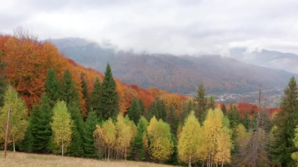 Wild Tourist Trails Seen Thick Clouds Drone Footage Glorious Autumn — Stock videók