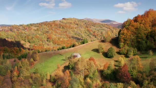 Aerial View Remote Countryside Area Lush Greenery Astonishing Travel Getaway — Αρχείο Βίντεο
