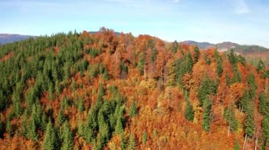 Drone footage of lavish and lush fall across alpine landscape. Wild tourist trails across deep alpine valleys with lavish vegetation in diverse colors. High quality 4k footage