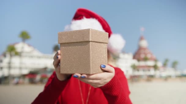Unrecognizable Woman Giving Present Close View Celebrating New Year Standing — Stock Video