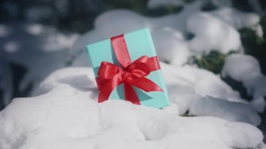 Scenic winter landscape with beautiful gifts on snowy fir tree branch on sunny winter day. Surprise gift bags with red satin bows as a symbol of family love, attention and care. Winter background 6K
