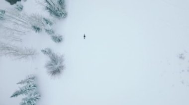 Ski show with great panorama 4K aerial. Ski show of active skier in beautiful mountain forest landscape riding down the slope with high speed. Cold winter day high up in mountains, Aspen ski resort