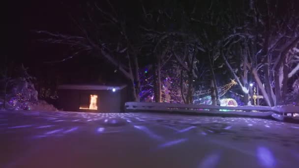 Festive Background Magic Forest Snowy Place Christmas Trees Decorated Lights — Stockvideo