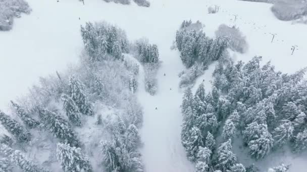 Aerial Winter Ski Resort Footage Fast Skiers Riding Hill Cold — Videoclip de stoc