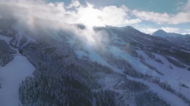 Snow covered trees in mountain forest with moving mist cloud and beautiful sun light. 4K aerial birds eye view winter footage, camera slowly spinning and tilting. Snowmass village ski resort, Colorado