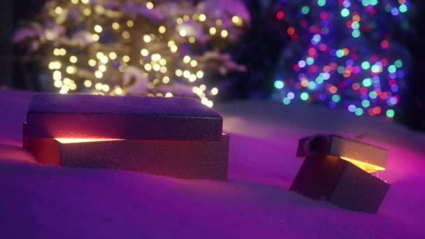 Fairytale Forest Magical Christmas Night Gold Dust Floats Air Illuminated — Stok video