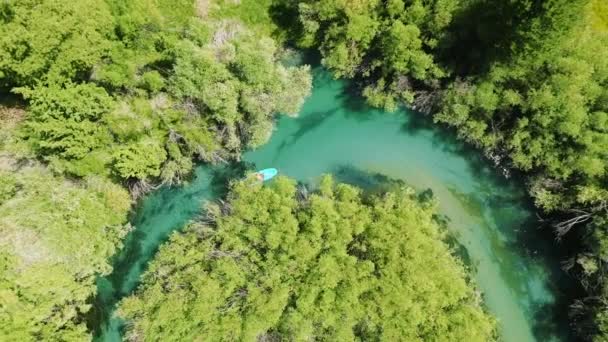 Turistler Mavi Bir Botta Otururken Kürek Çekiyorlar Huzurlu Doğa Hafta — Stok video