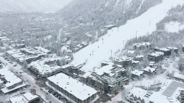 Landschaftliche Winterlandschaft Mit Menschen Die Den Weihnachtsfeiertagen Den Bergen Ski — Stockvideo