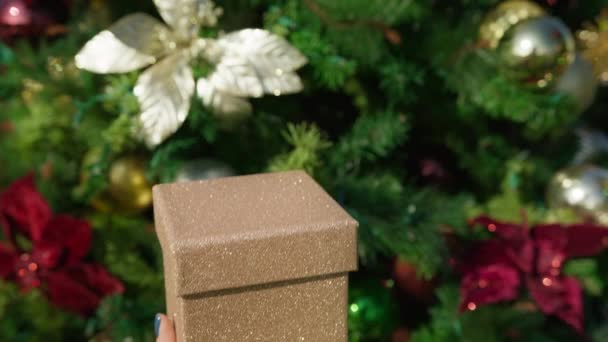 圣诞节礼物的概念 节日家庭派对气氛 装饰圣诞树的圣诞球花环模糊了背景 女性的特写镜头 带着礼物 展示着神奇的闪亮的金盒子 — 图库视频影像