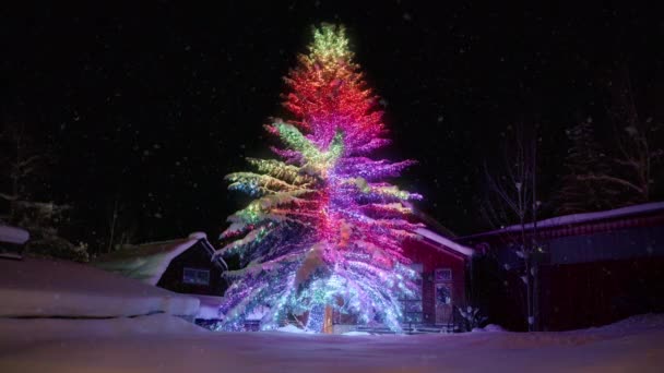Magico Albero Natale Invernale All Aperto Sotto Nevicate Magiche Notte — Video Stock