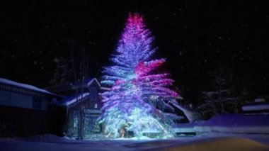 4k Karlı bir yer ve parlak parçacıklardan oluşan Noel ağacı. Renkli, ışıl ışıl bir Noel ağacı olan şenlikli bir arka plan. Karlı bir gecede düşen kar taneleriyle büyülü kış arkaplanı üzerine Mutlu Noeller metni