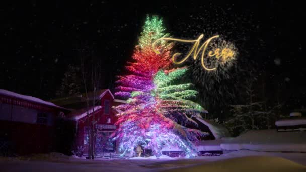 圣诞树上装饰着生机勃勃的五彩缤纷的花环 在迷人的雪夜的红光中闪闪发光 带着金光闪闪的圣诞祝福的假日背景3D动画 — 图库视频影像