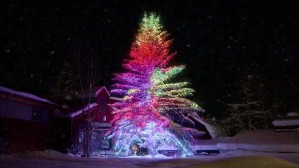 五彩缤纷的闪光的圣诞树灯与复制空间的文字运动图形背景 神奇的冬夜 雪下得又慢又平静 情景优美的冬夜背景 — 图库视频影像