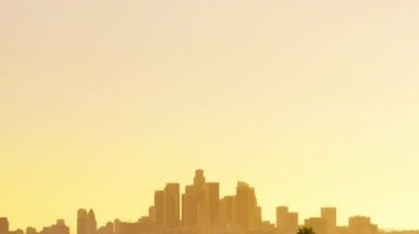 Şehir merkezindeki Low Angeles manzaralı altın ışıkta. Kırmızı kamera Hollywood 'daki yüksek yeşil palmiye ağaçlarının üzerine iniyor. Günbatımında Los Angeles şehrinin gökyüzünü gözler önüne seriyor.