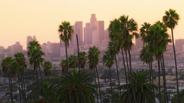 Эпический Вид Центра Лос Анджелеса Розовый Кинозакат Красный Вид Городских — стоковое видео