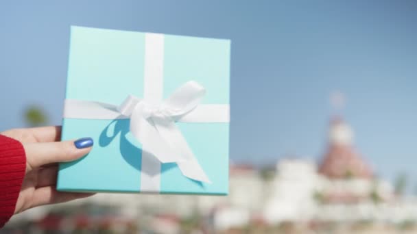Elegantes Paket Zeichen Der Freundschaft Liebe Pflege Weihnachtsmorgen Urlaubskonzeptaufnahmen Sonnigen — Stockvideo