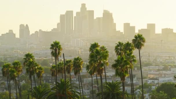 Urban View Beautiful Scenic Downtown Los Angeles Golden Sky Sunny — Stock Video