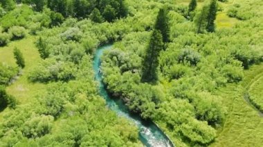 Pedallı gezginler hafta sonu deniz etkinliği sırasında güneş ışığında şeffaf suyla birlikte yeşil orman deresi nehrinde eğleniyorlar. 4K yüzen turist bisikleti.