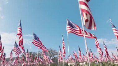 Pepperdine Üniversitesi, CA, ABD 'de Iconic Waves of Flags yıllık töreni. 11 Eylül 2001 'de yaşanan terör saldırılarında hayatını kaybedenlerin düşük açılı insansız hava aracı atışı. Yüksek kalite 4k görüntü