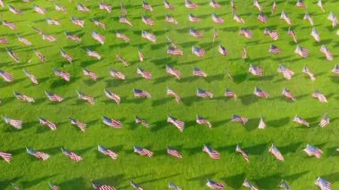 Her vatandaş için büyük bir yıllık Amerikan ve uluslararası bayrağı gösterisi. Ovanın üzerinde ulusal semboller sallayan otlarla dolu güzel doğal bir manzara. Yüksek kalite 4k görüntü