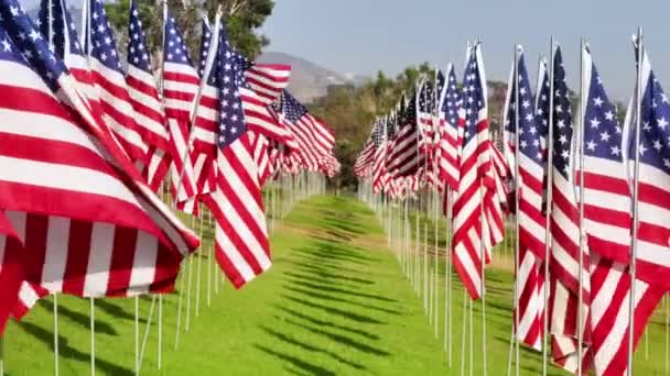 Aerial Close View Waves Flags Ceremony Placed American Other Flags — Stock Video