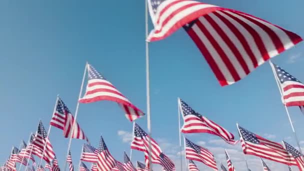 Stars Stripes National Symbols Waving Outdoors Clear Blue Sky Aerial — Stock Video
