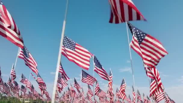 Κηφήνας Πλάνα Των Σημαιών Για Κάθε Θύμα Έχασαν Ζωή Τους — Αρχείο Βίντεο