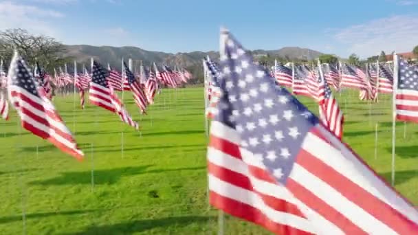 Çayırda Bayraklarla Birlikte Bol Çimenli Güzel Doğal Manzara Üssün Hava — Stok video