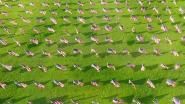 Vast Annual Display American International Flags Each Citizen Beautiful Natural — Stock Video