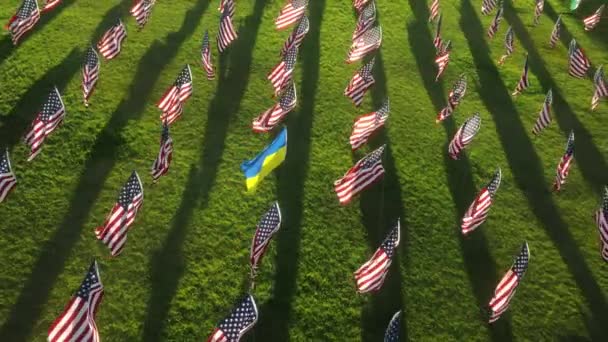 Machając Ukraińskimi Amerykańskimi Symbolami Narodowymi Honorującymi Ofiary Ataków Terrorystycznych Września — Wideo stockowe