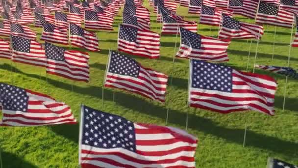 Närbild Traditionell Visning Alumni Park Kalifornien Usa Flygbilder Nationella Flaggor — Stockvideo