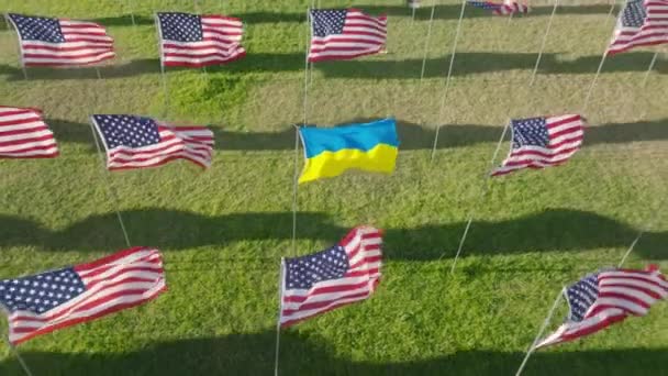 Drone Împușcat Câmp Vast Steag Ucrainean Printre Stelele Dungile Americane — Videoclip de stoc