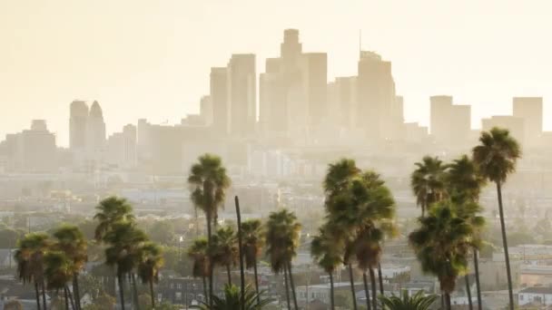 Los Angeles Downtown Day Night Timelapse Golden Hour Scenic Pink — Stock Video