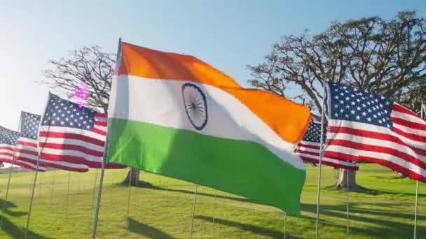 米国の多くの旗の中で緑のフィールドに誇りを持って飛んでインドの旗 インド国旗がなびく 独立記念日 インド共和国の日にインド国旗 レッドショット波インドの旗 風の上を飛ぶ — ストック動画