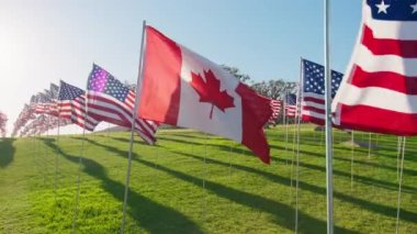Kırmızı kamera, ABD bayraklarının arka planında rüzgarda güneşe karşı dalgalanan Kanada bayrağı etrafında çekildi. Calgary 'de Kanada Günü, Alberta, Kanada, Kuzey Amerika. Turizm, iş ortaklığı