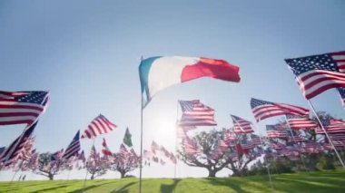 Fransa bayrağı. Kızıl Kamera 'da Fransa Ulusal Bayrağı. French Flags Slow Motion videosu. Fransa Bayrağı üç renkli dalgalanma. Amerikan Bayrakları Arkaplanda Harekete Geçiyor. Mavi gökyüzünde güneş parlayan Fransız bayrağının etrafında