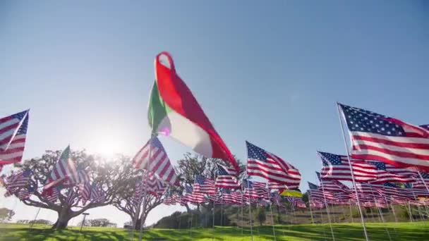 Kamera Czerwona Wysokiej Jakości Obraz Flaga Włoch Macha Wietrze Złotym — Wideo stockowe