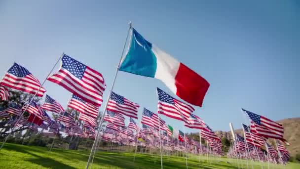 프랑스에 관광의 카메라 화면에는 황금빛 위에서 바람에 흔들리고 프랑스의 미국의 — 비디오